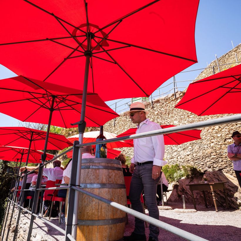 tonneaux et parasols rouges dans le vignoble et murs en pierre sèches