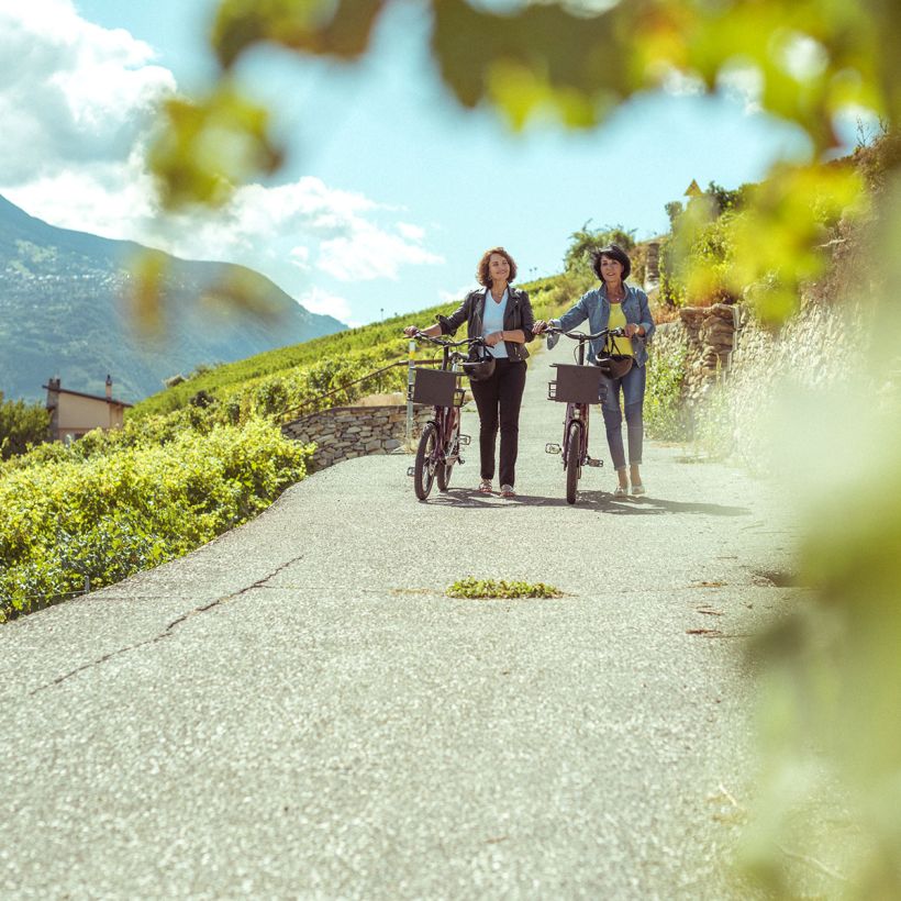 un vélo électrique Publibike pour rouler dans les vignes